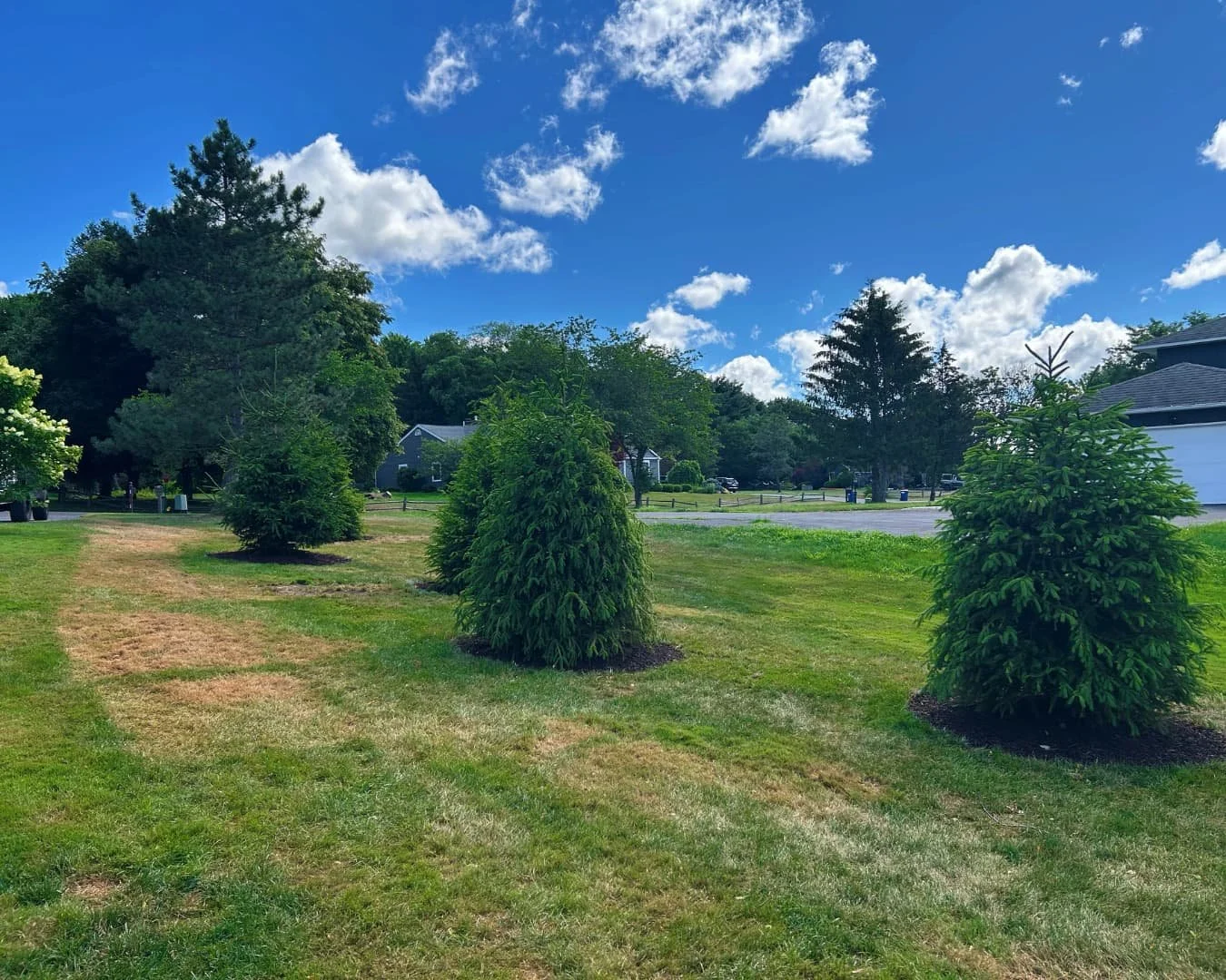 Foundation landscape bed with evergreens completed by Pines and Pavers in Skaneateles, New York.