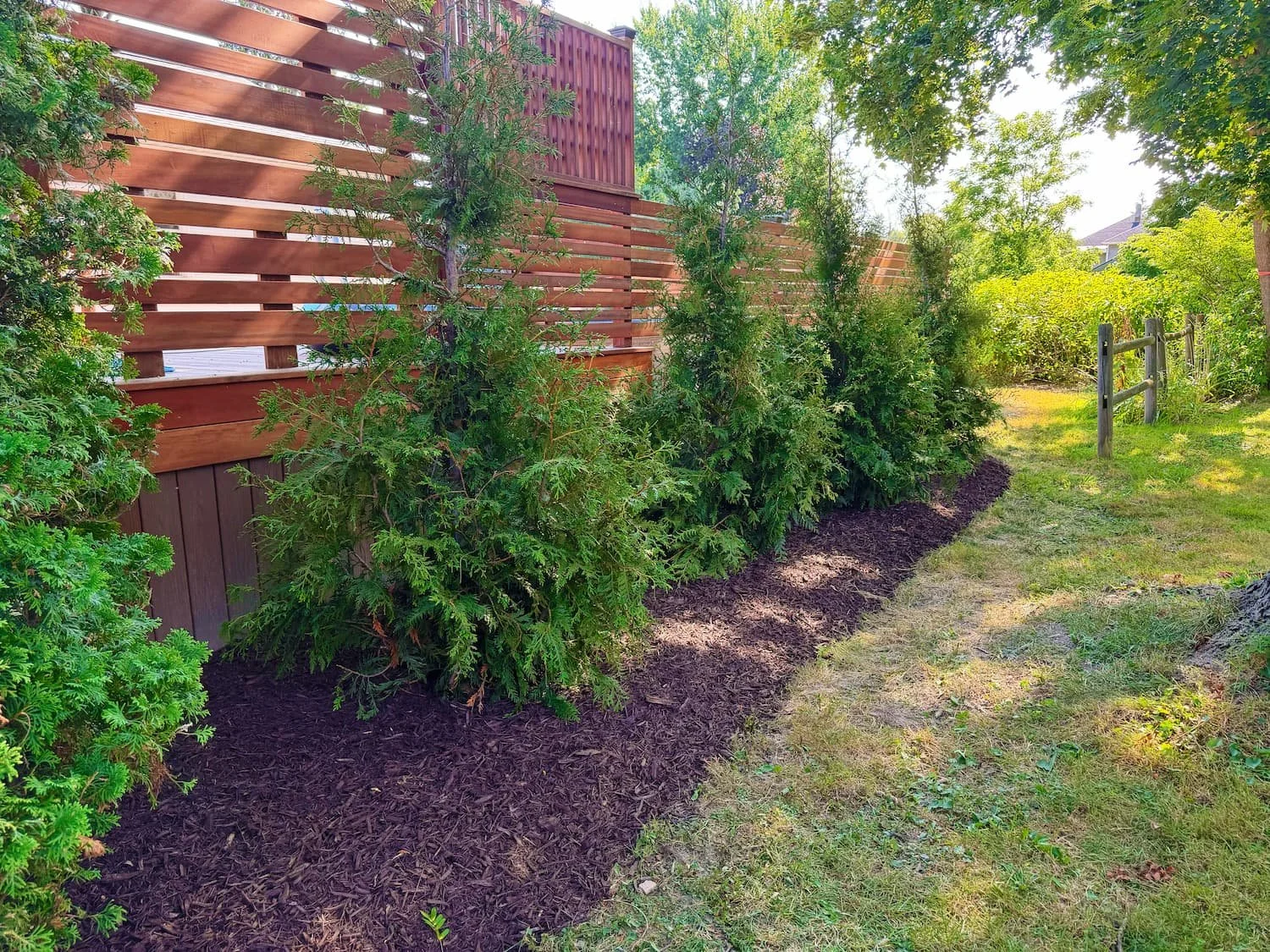 Finished residential planting bed with fresh mulch and layered greenery in Central New York.