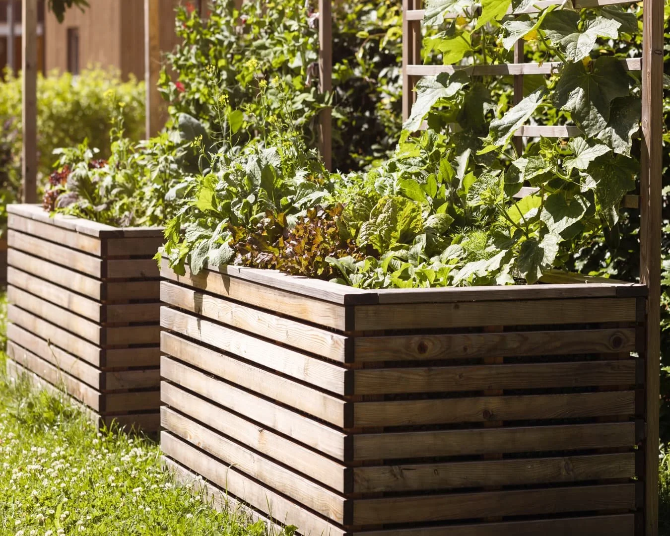 Edible garden inspiration showing an organized raised bed garden with clean gravel paths between planting areas.