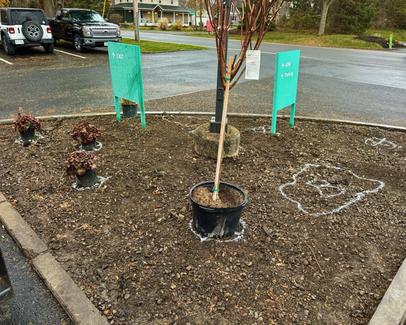 Tree island installation at Citizens Bank completed by Pines and Pavers in Cicero, New York.