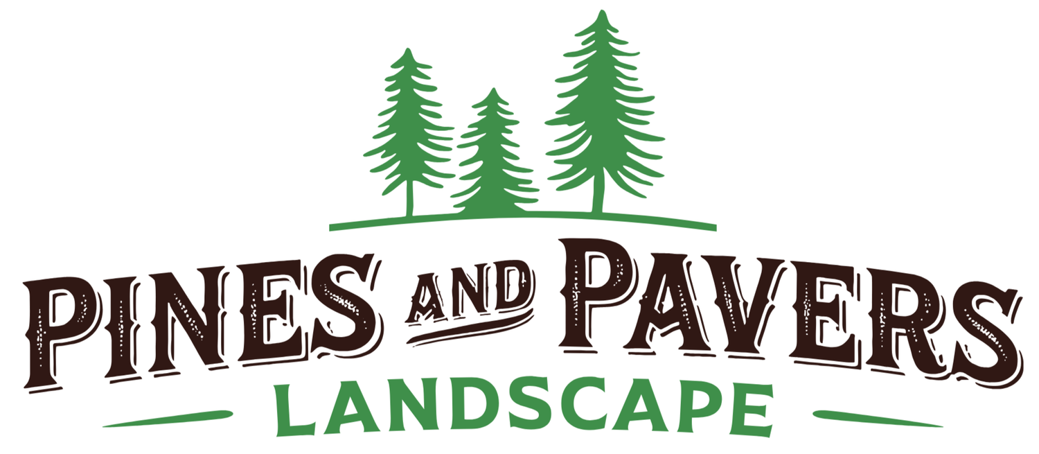 Pines and Pavers Landscape