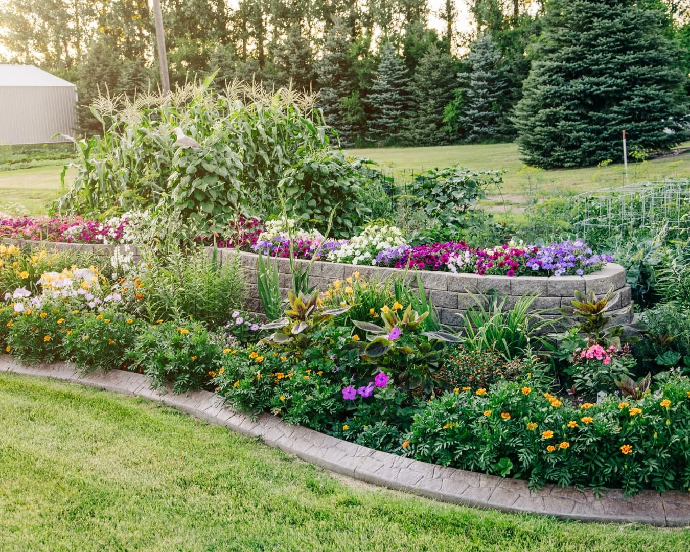 Raised garden bed inspiration with a stone retaining border and curved paver walkway.