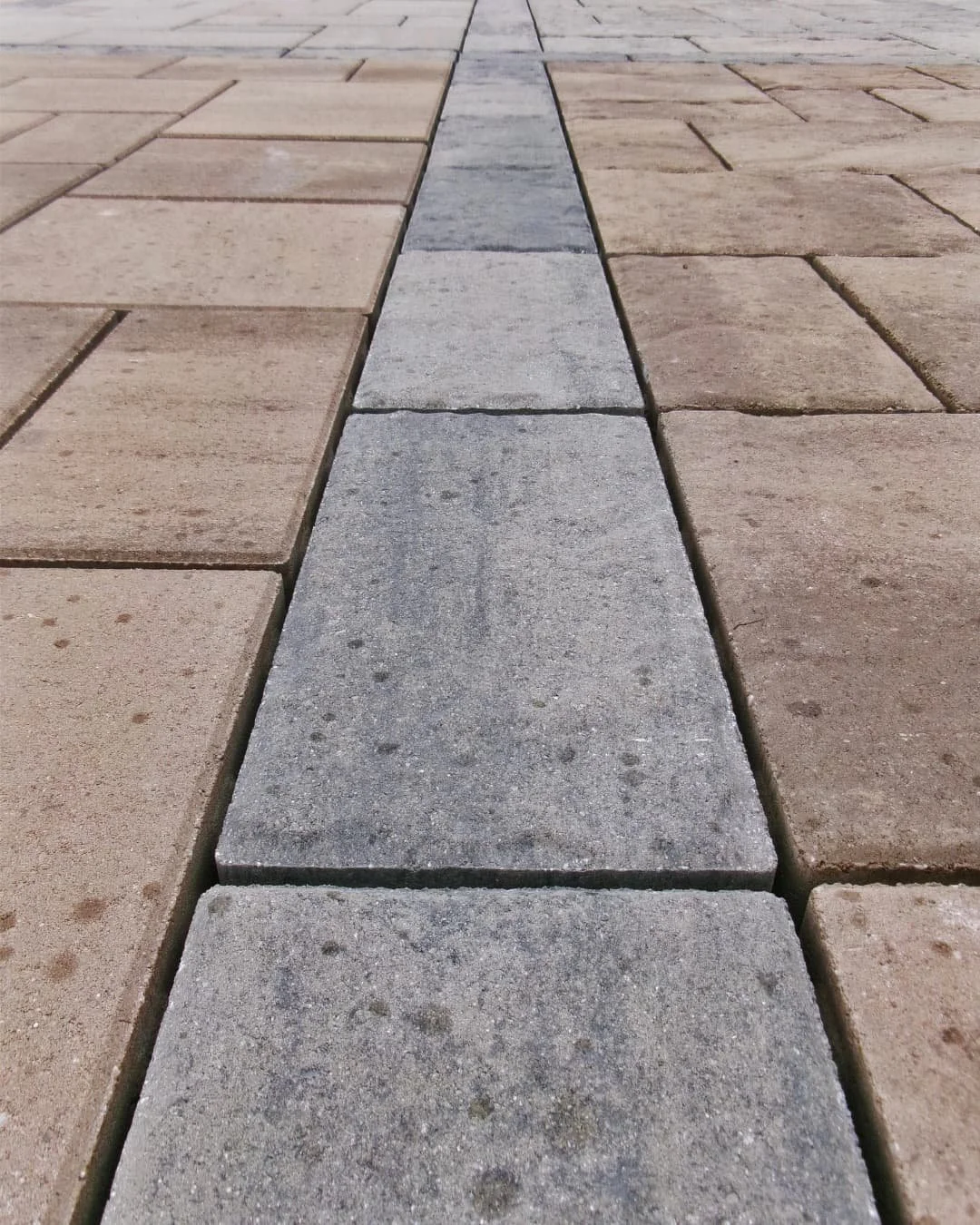 Walkway view of the Paragon Supply Techo-Bloc display completed by Pines and Pavers.