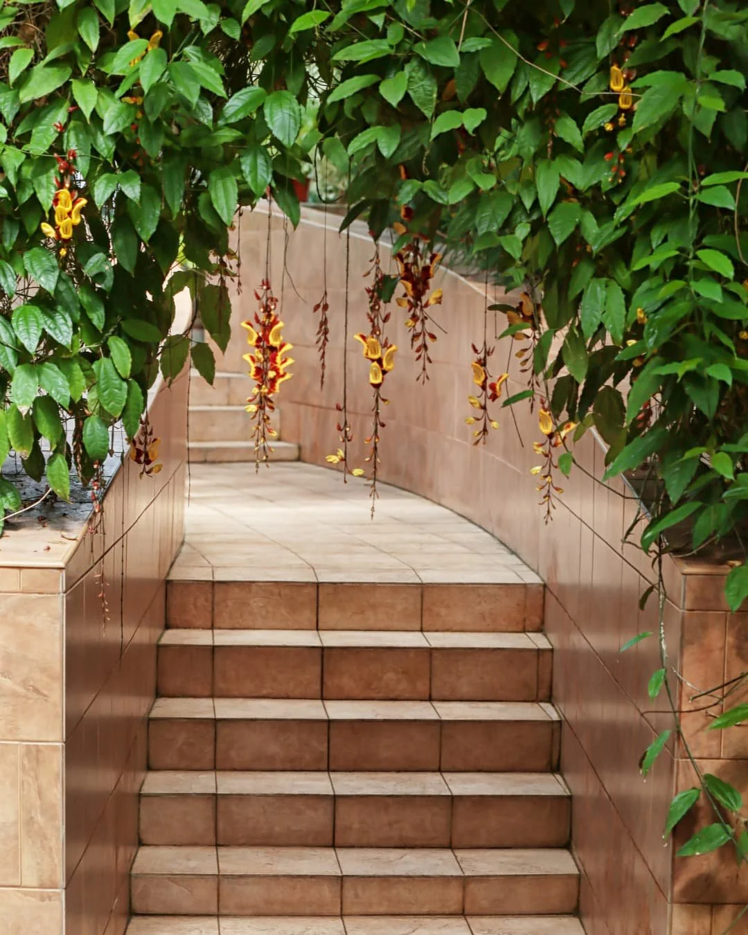 Stair inspiration with natural stone garden steps framed by planting beds and layered landscape walls.