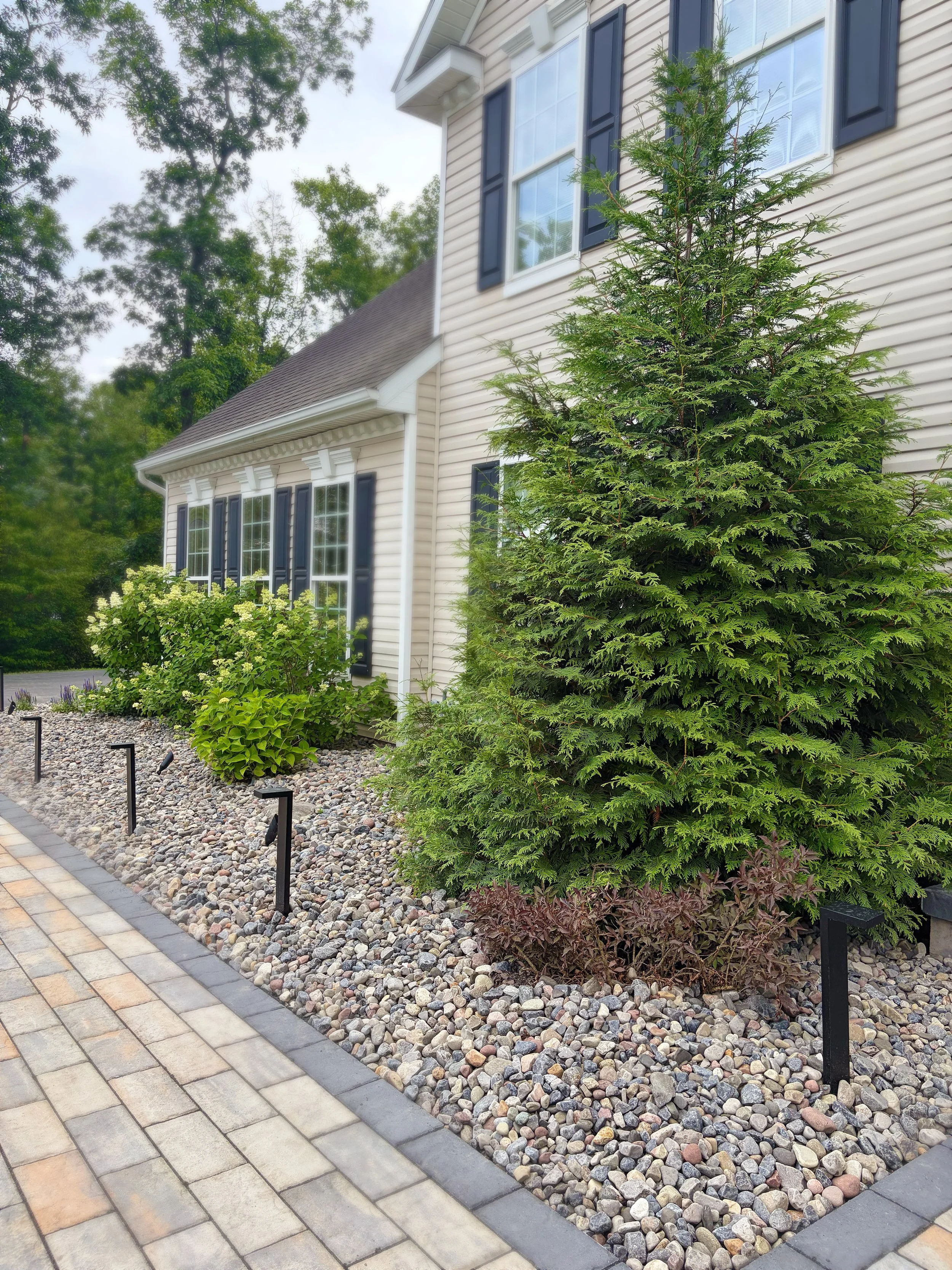 Evergreen landscaping beside a paver walkway and residential home in Central New York
