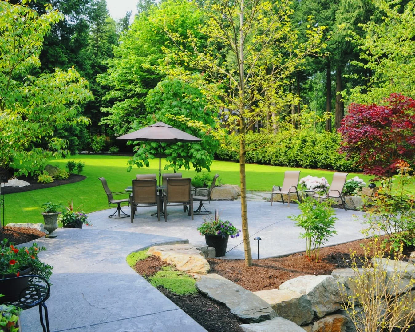 Landscape framing inspiration featuring a patio space softened by surrounding planting and lawn edges.