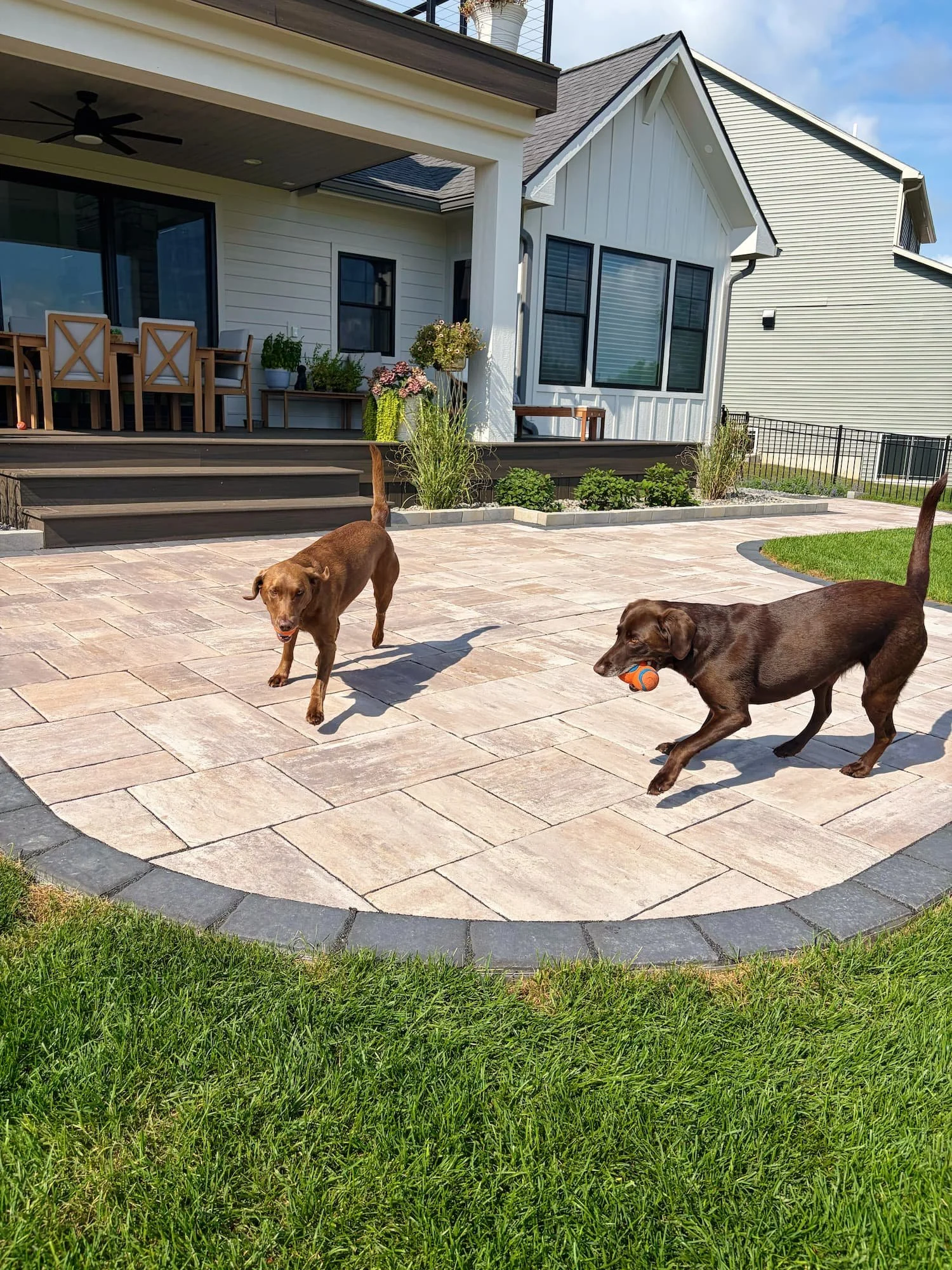 Straight paver walkway alongside a landscaped Central New York home