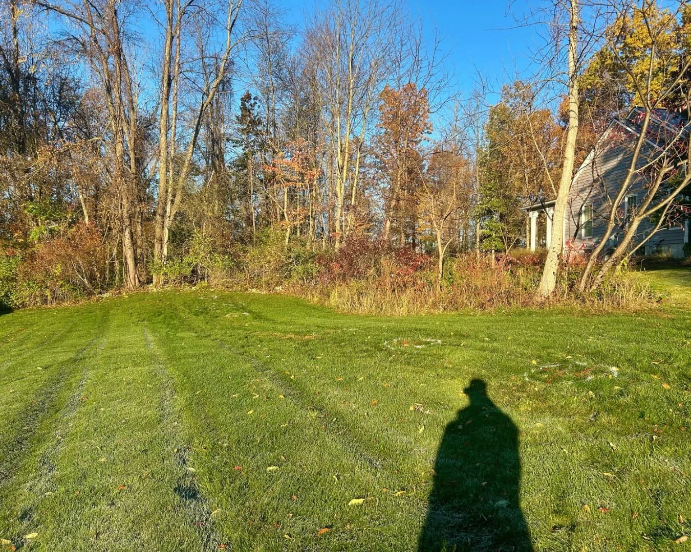 Backyard field view before installation by Pines and Pavers in Brewerton, New York.