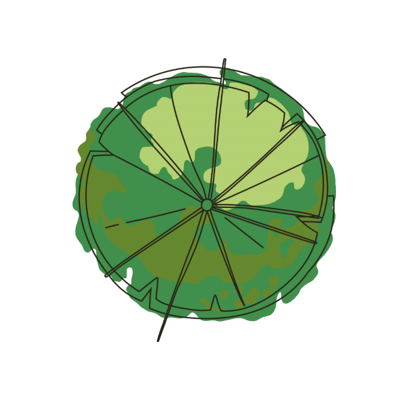 Professional landscape planning illustration with circular framework and layered planting structure for residential outdoor design.