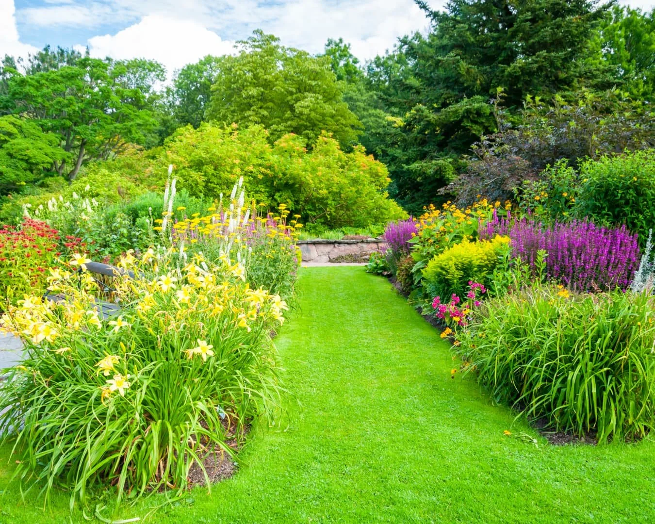 Yard separation inspiration with lush planting borders creating a soft natural separation within the landscape.