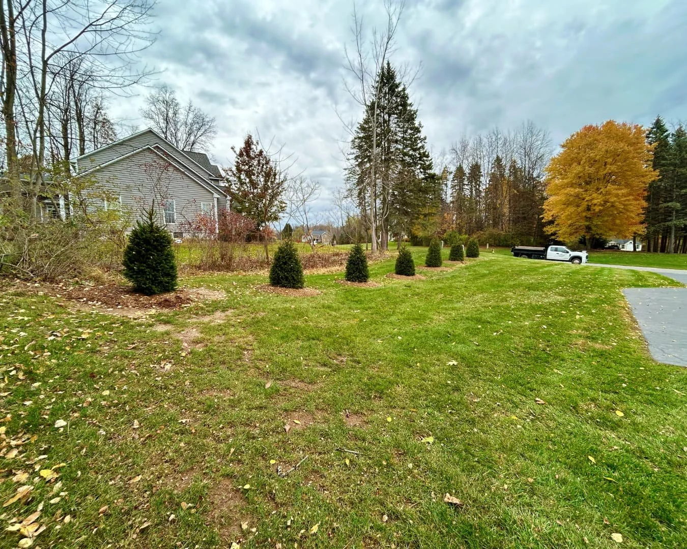 New evergreen planting row completed by Pines and Pavers in Brewerton, New York.