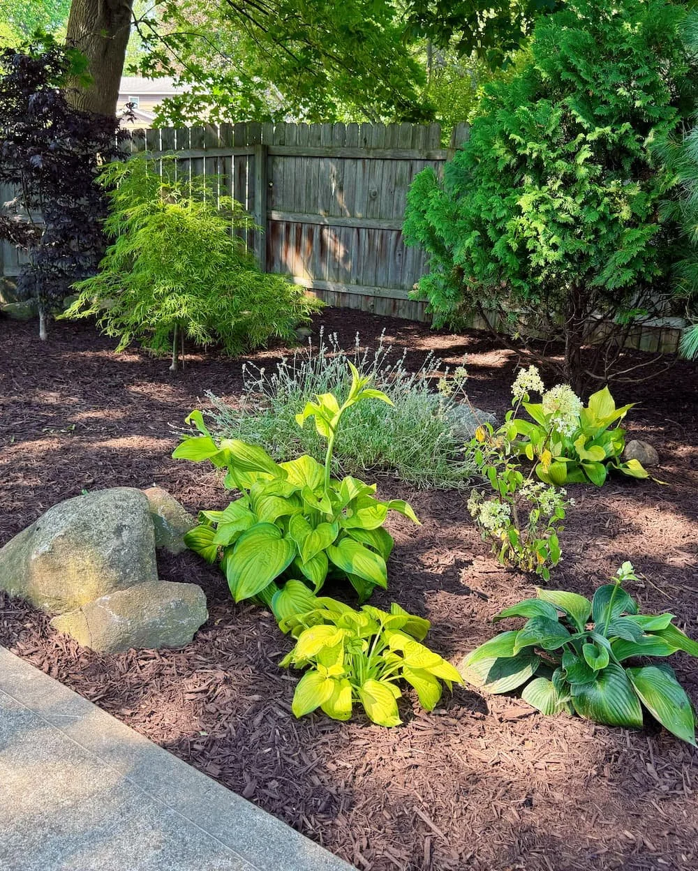 Professionally designed landscape bed with natural stone and plantings.