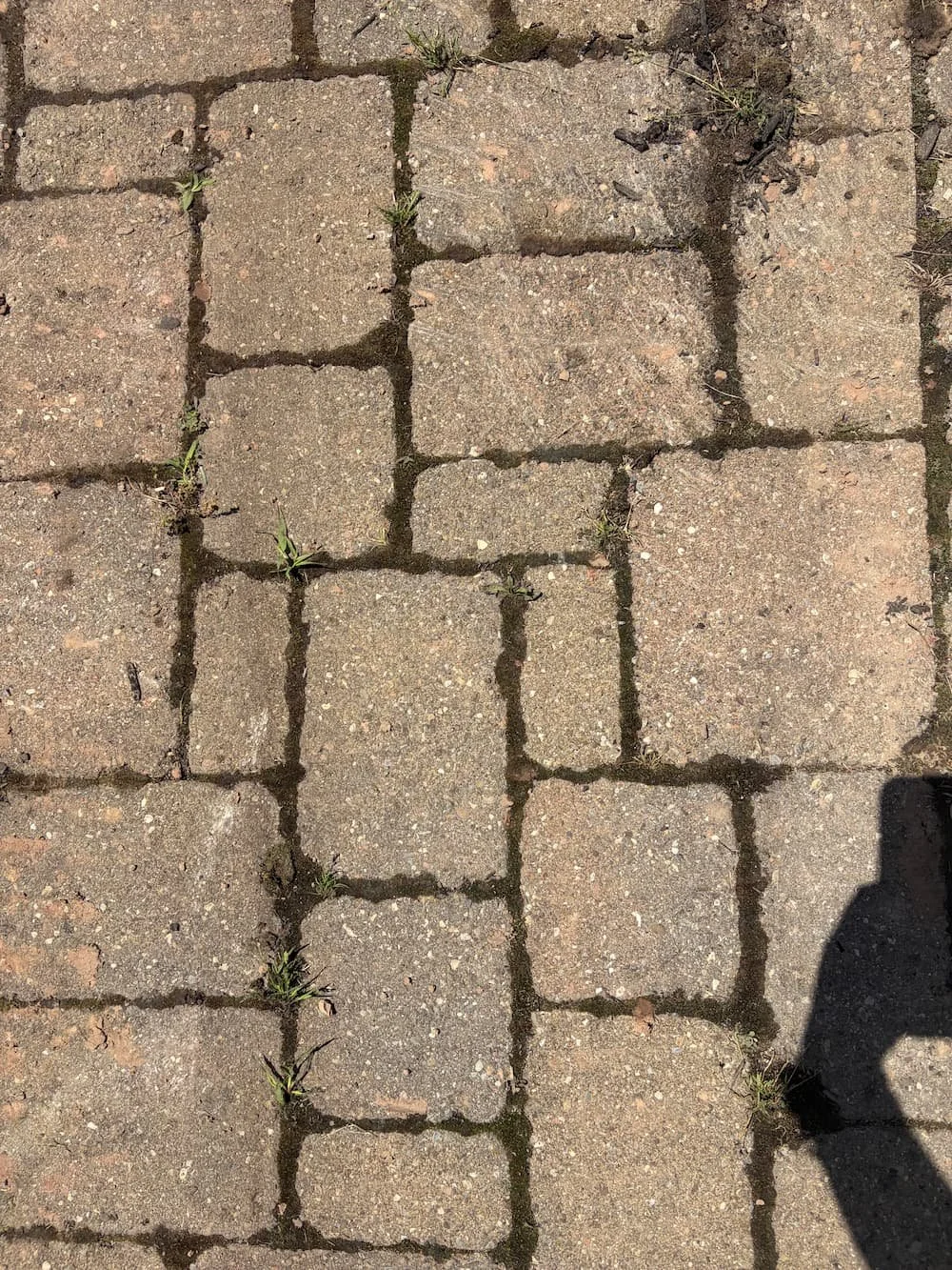 Close-up of textured tumbled pavers showing the natural color variation and pattern of the hardscape installation.