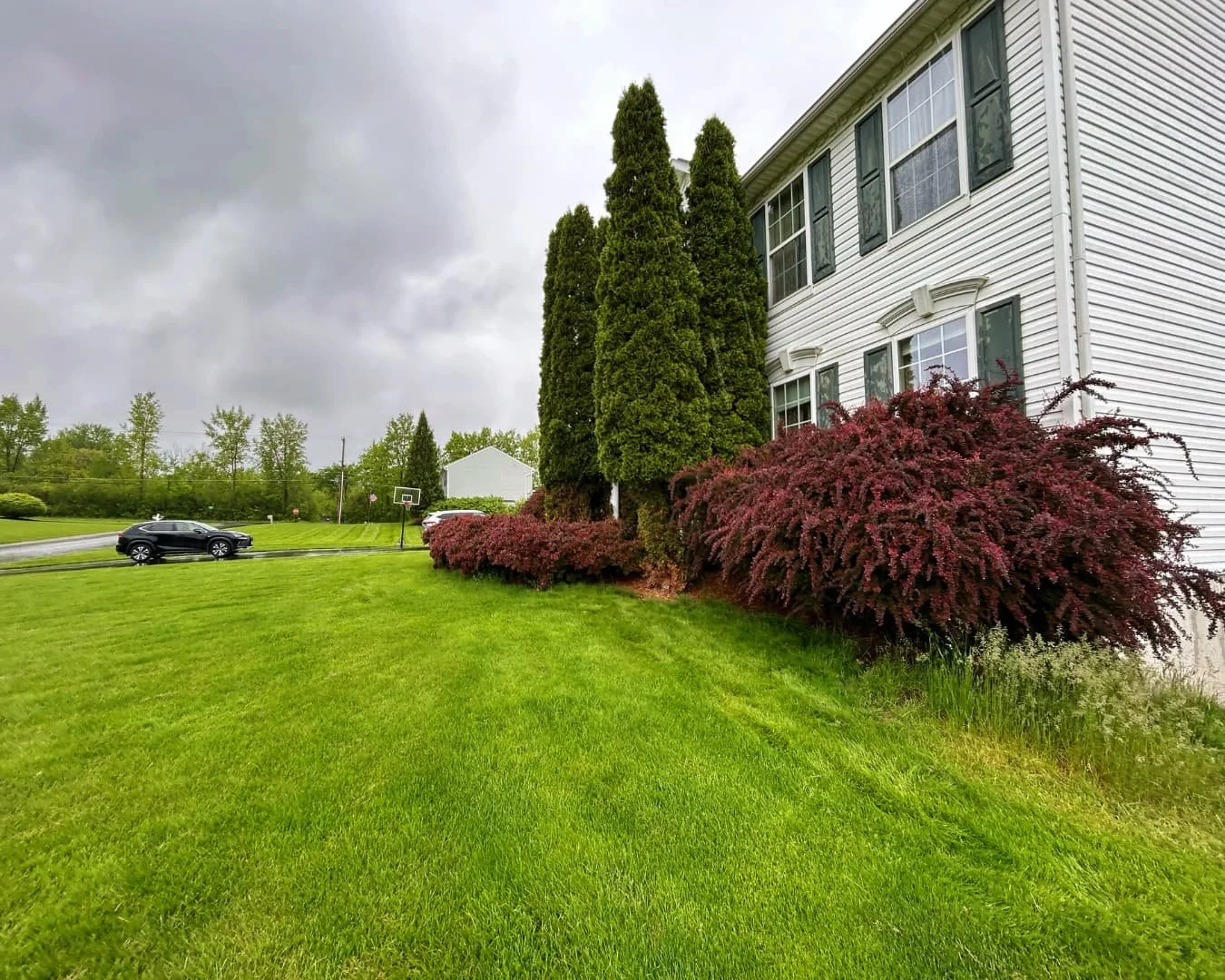 Existing shrub border by the home before the project by Pines and Pavers in Baldwinsville, New York.