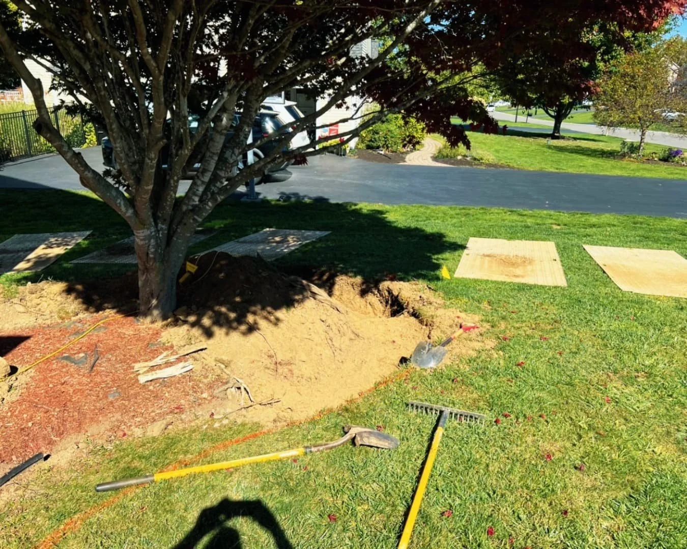  Ornamental tree landscaping at a Central New York home with fresh mulch and clean lawn presentation