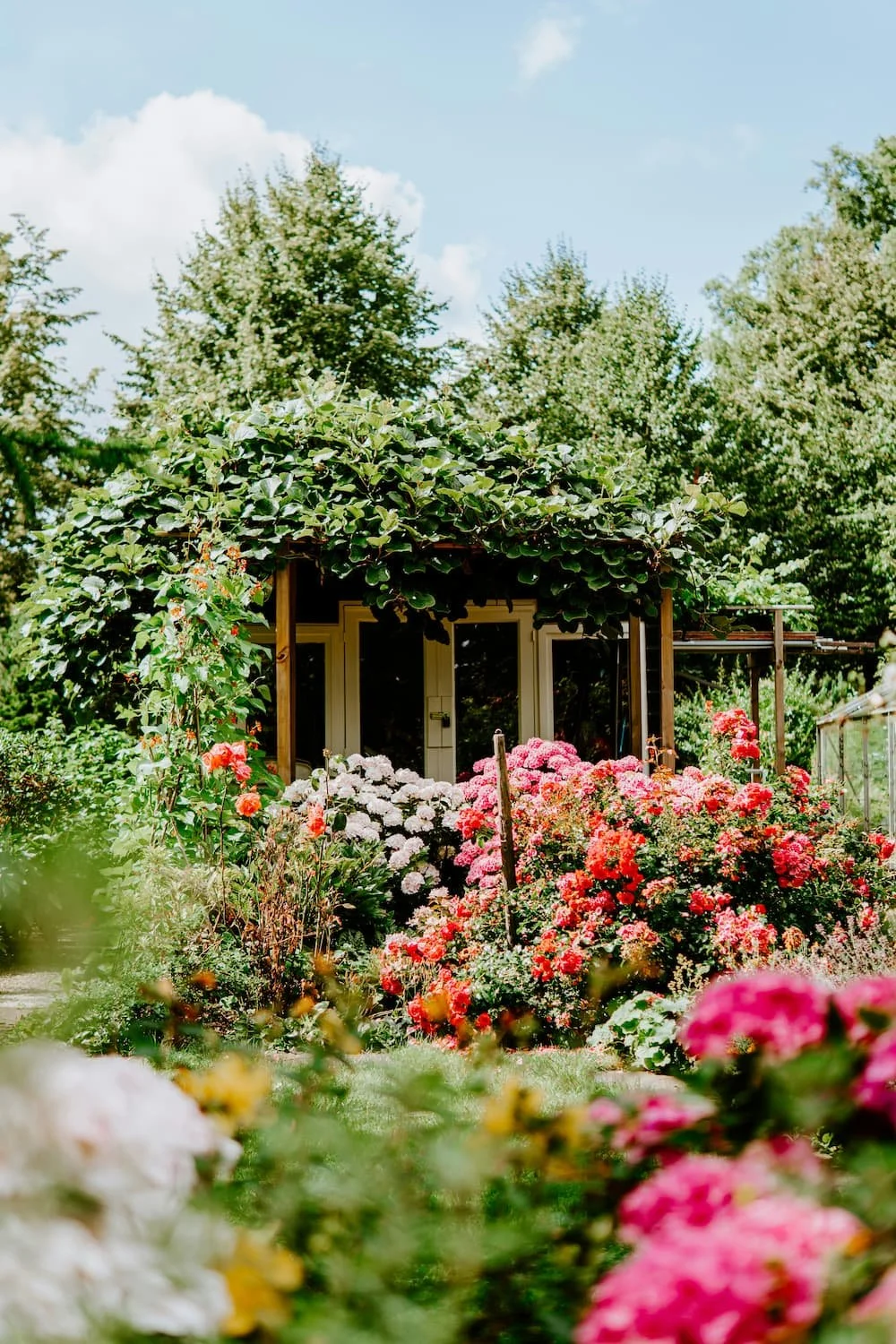 Garden cottage surrounded by blooming pink and red roses, hydrangeas, and lush greenery with climbing vines covering the roof on a sunny day.