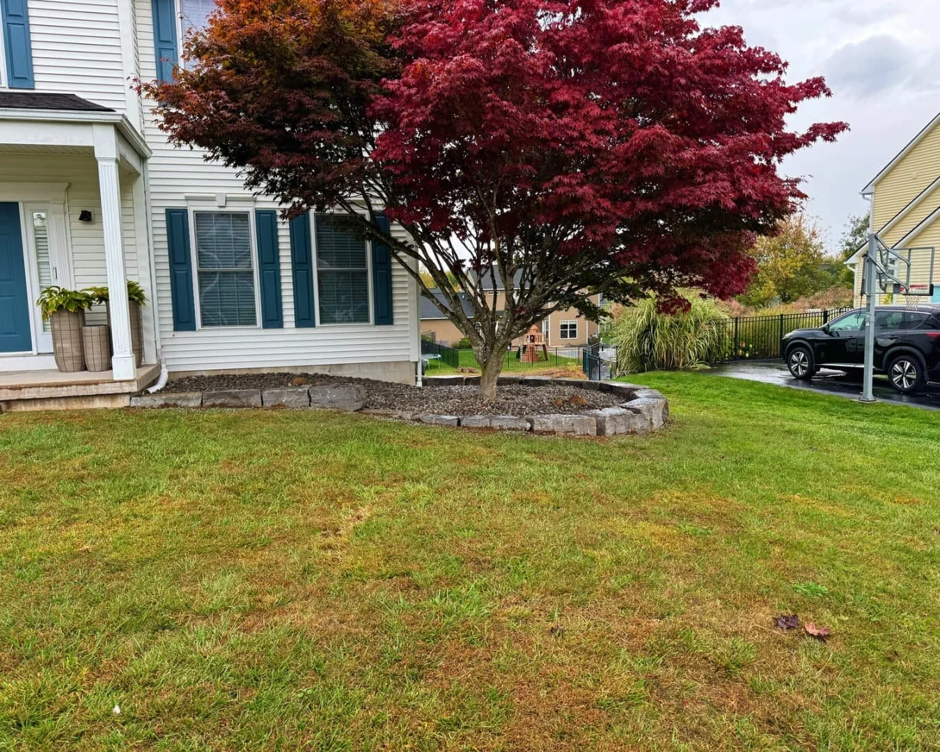 Tree island landscape bed with edging completed by Pines and Pavers in Lysander, New York.