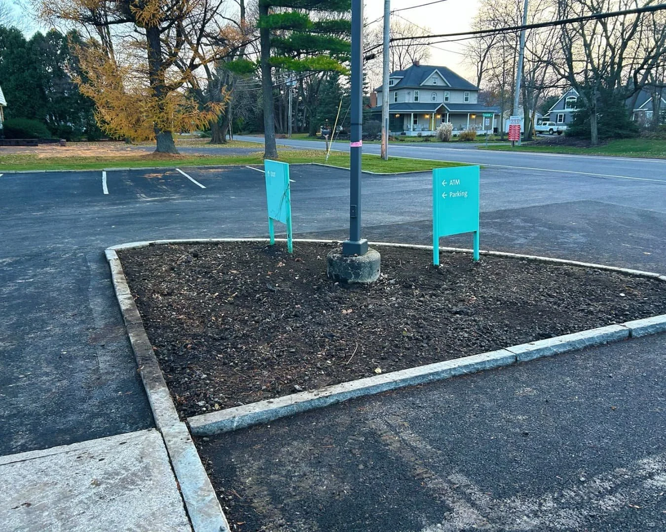 Tree and shrub planting detail at Citizens Bank by Pines and Pavers in Cicero, New York.