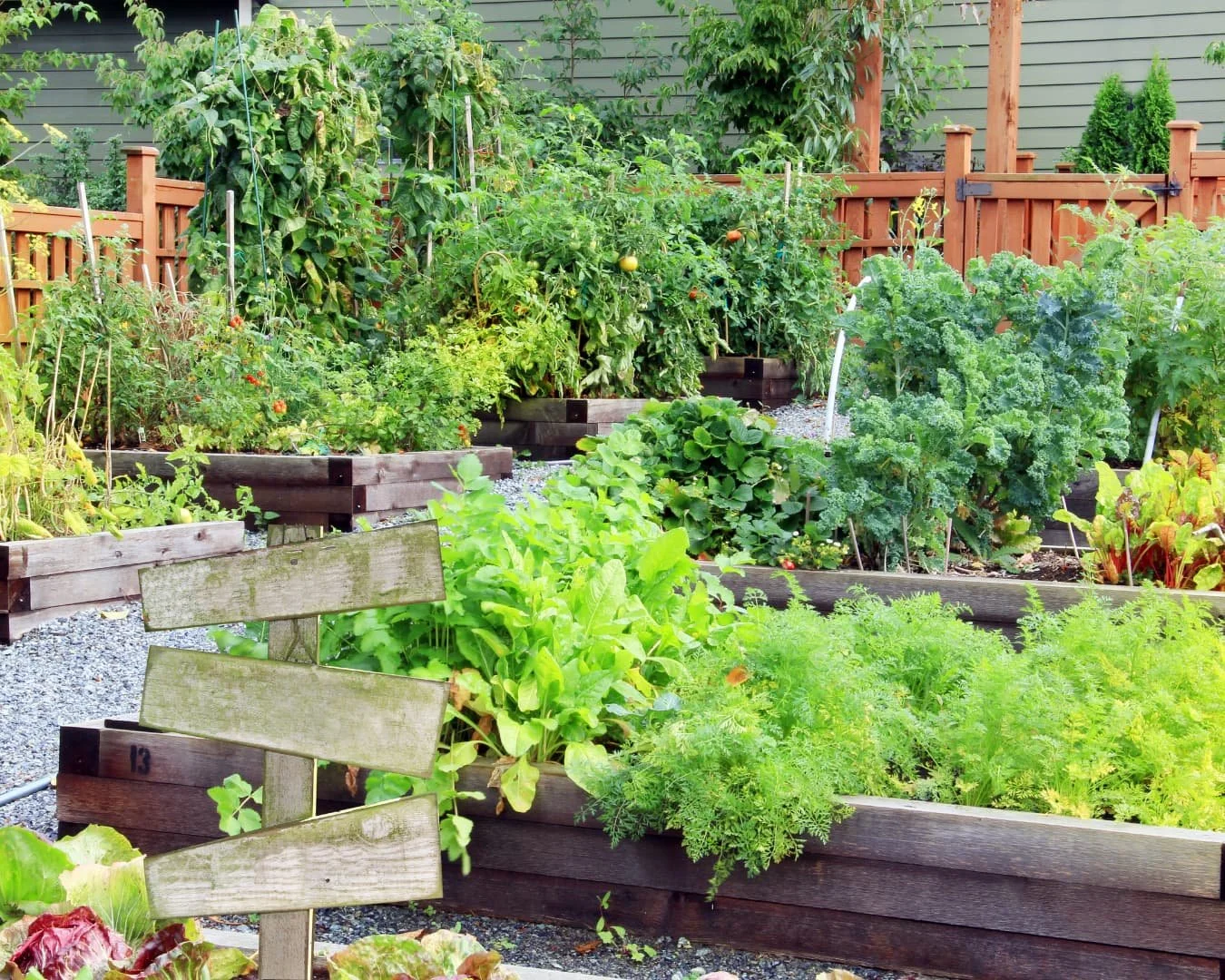 Edible garden inspiration with multiple raised vegetable beds in a neat backyard layout.