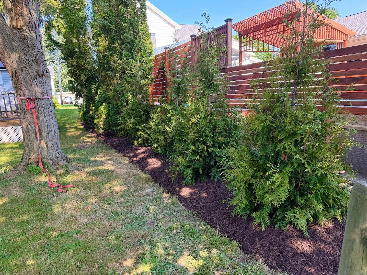 Finished landscape bed with plantings and mulch surrounding a raised backyard deck in Central New York.