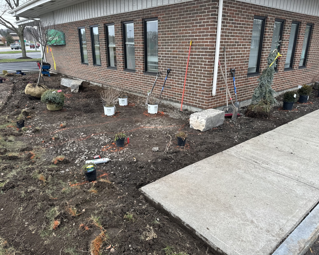 Commercial landscape cleanup at a Fayetteville, NY bank property with refreshed beds and building perimeter maintenance.