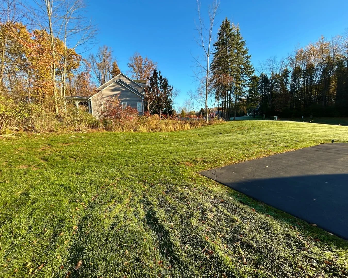 Property edge and open yard before the project by Pines and Pavers in Brewerton, New York.