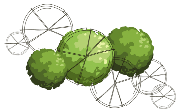 Top view landscape design rendering featuring circular planting beds and structured layout planning for a residential backyard renovation.