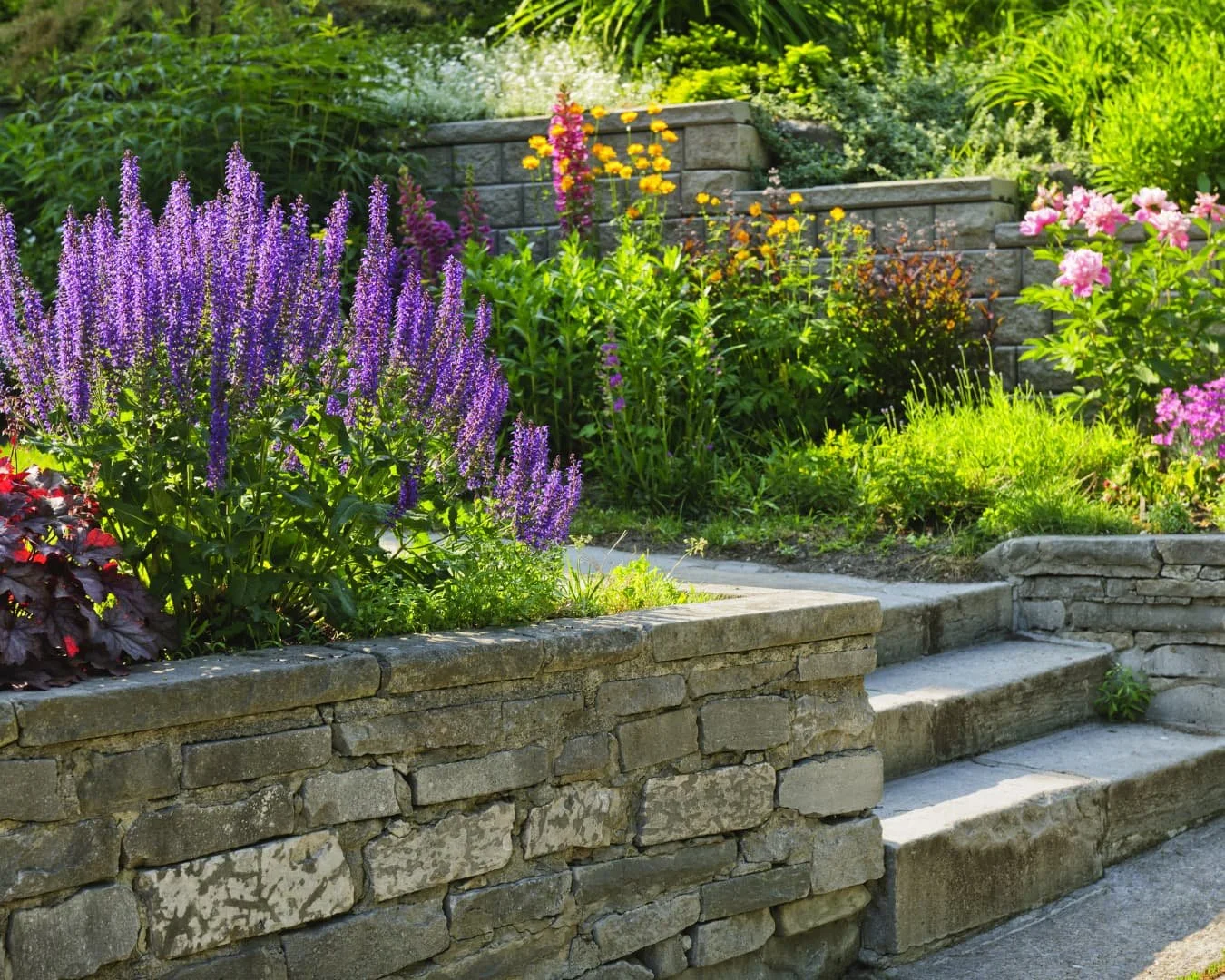 Raised garden bed inspiration showing a stone garden bed integrated with steps and layered planting.