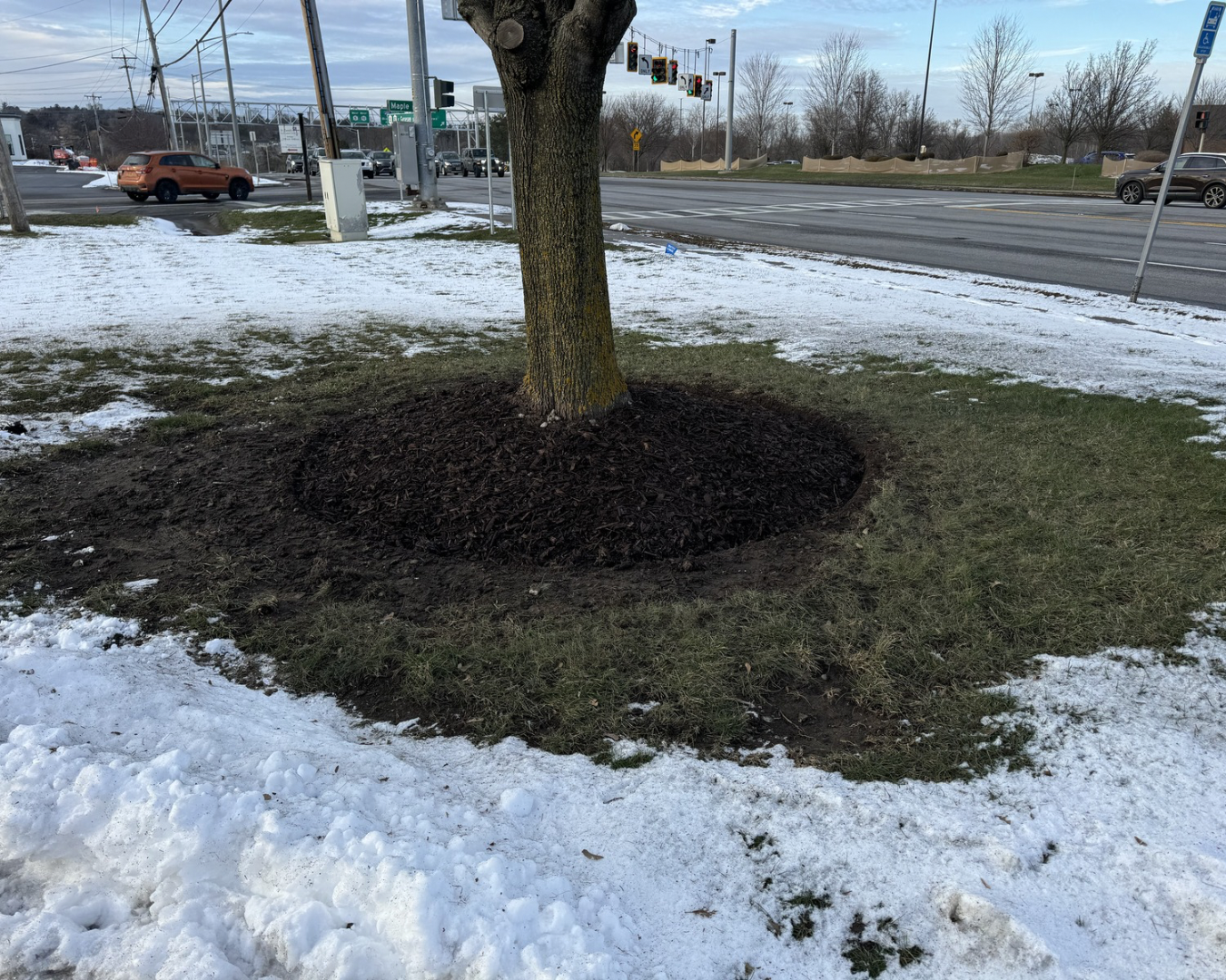 Tree bed winter landscaping at a Fayetteville, NY commercial property with neat mulch edging and seasonal upkeep.