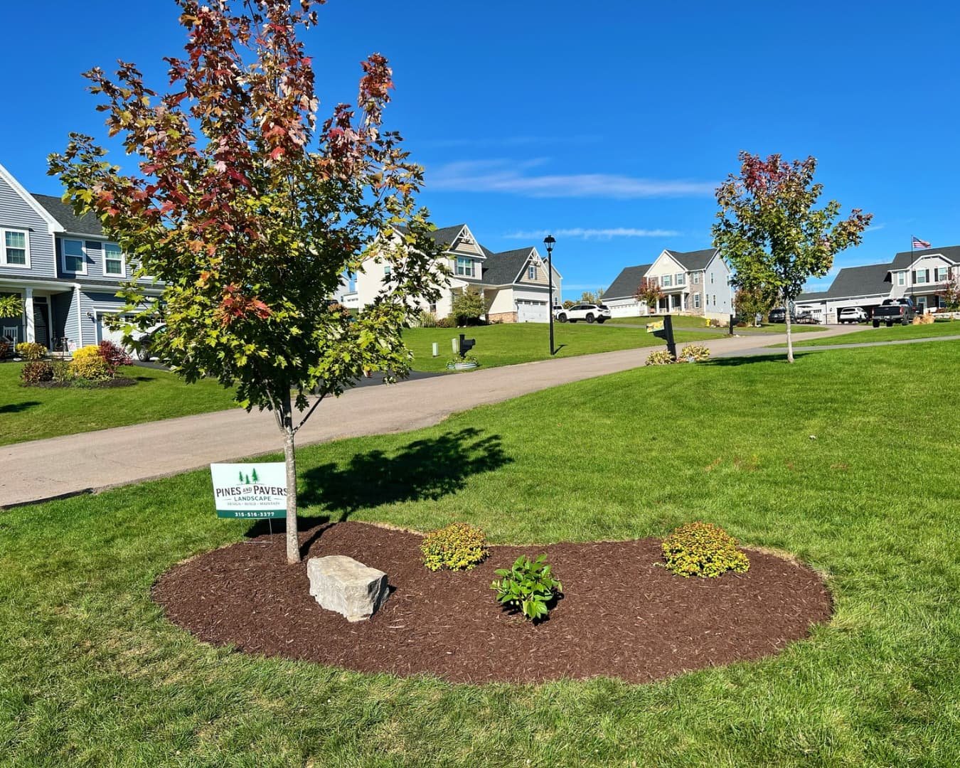Mulched tree ring landscape bed completed by Pines and Pavers in Lysander, New York.