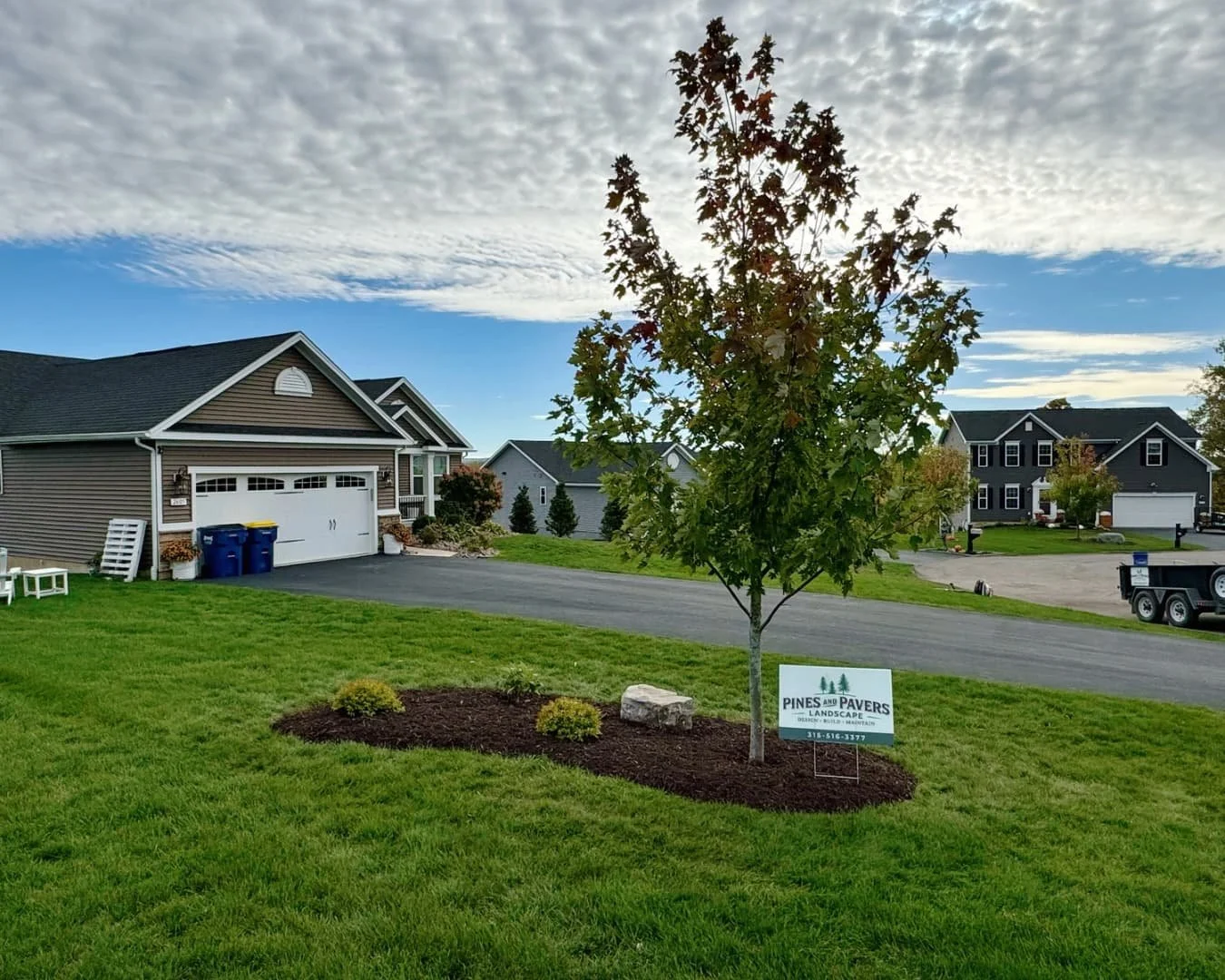 Evergreen screening row completed by Pines and Pavers in Lysander, New York.