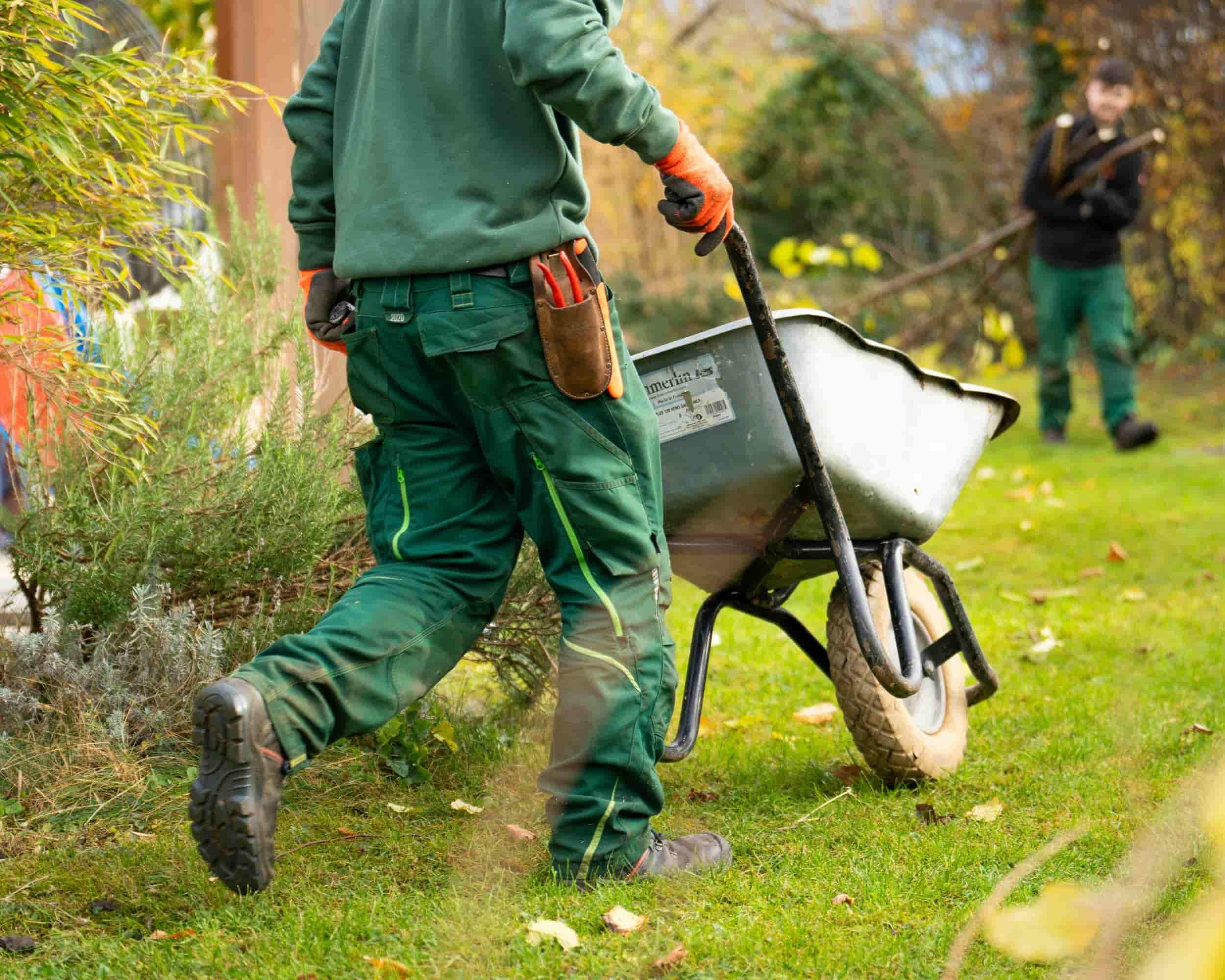 Experienced landscaping team providing design build and installation services in Central New York