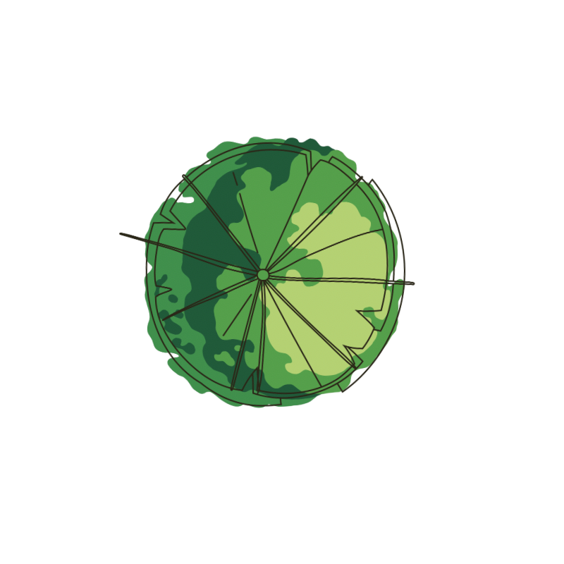 Overhead landscape design concept showing circular garden layout with defined planting zones for long-term property planning.