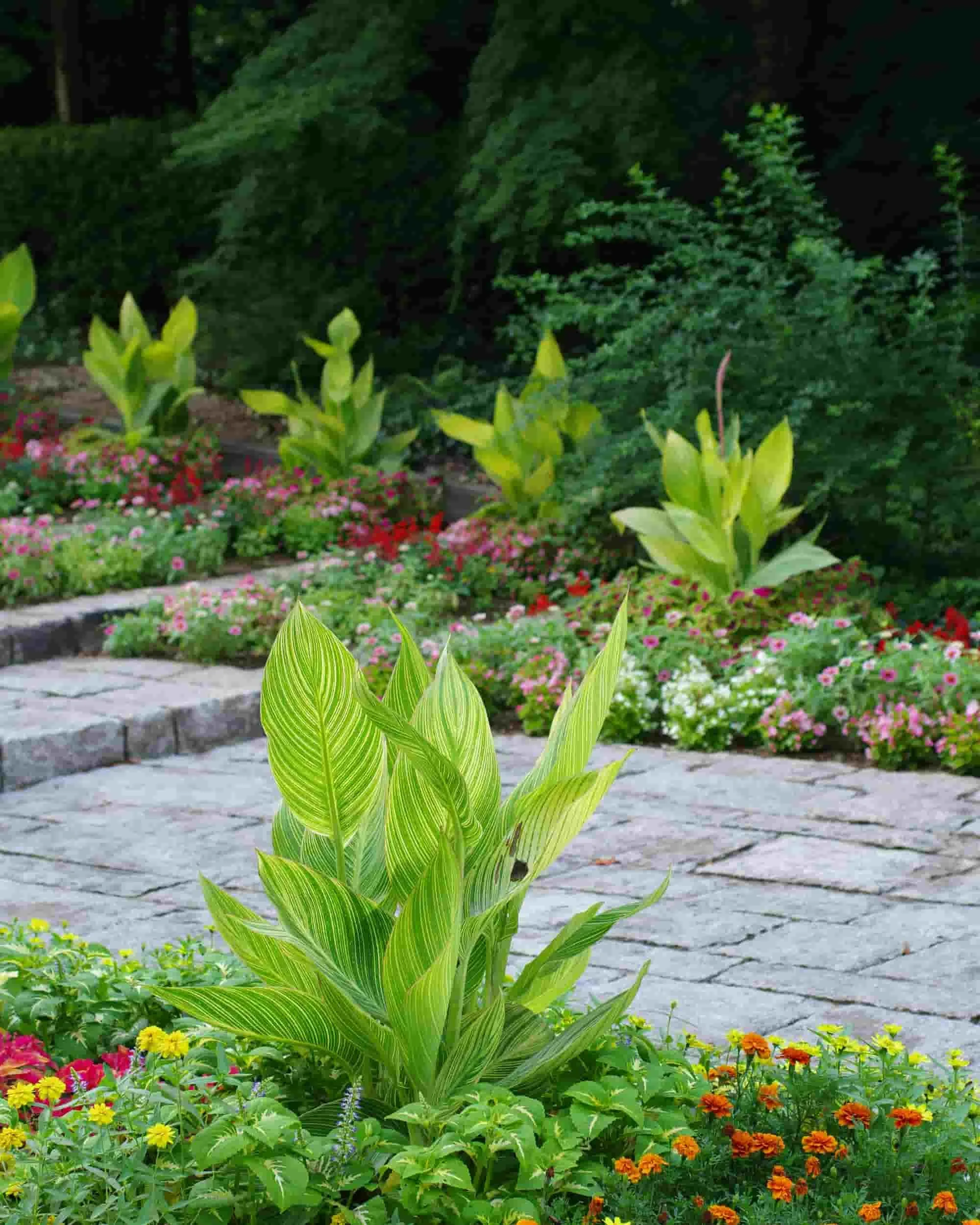 Professionally landscaped front yard with curated shrubs, mulch beds, and stepping stone pathway
