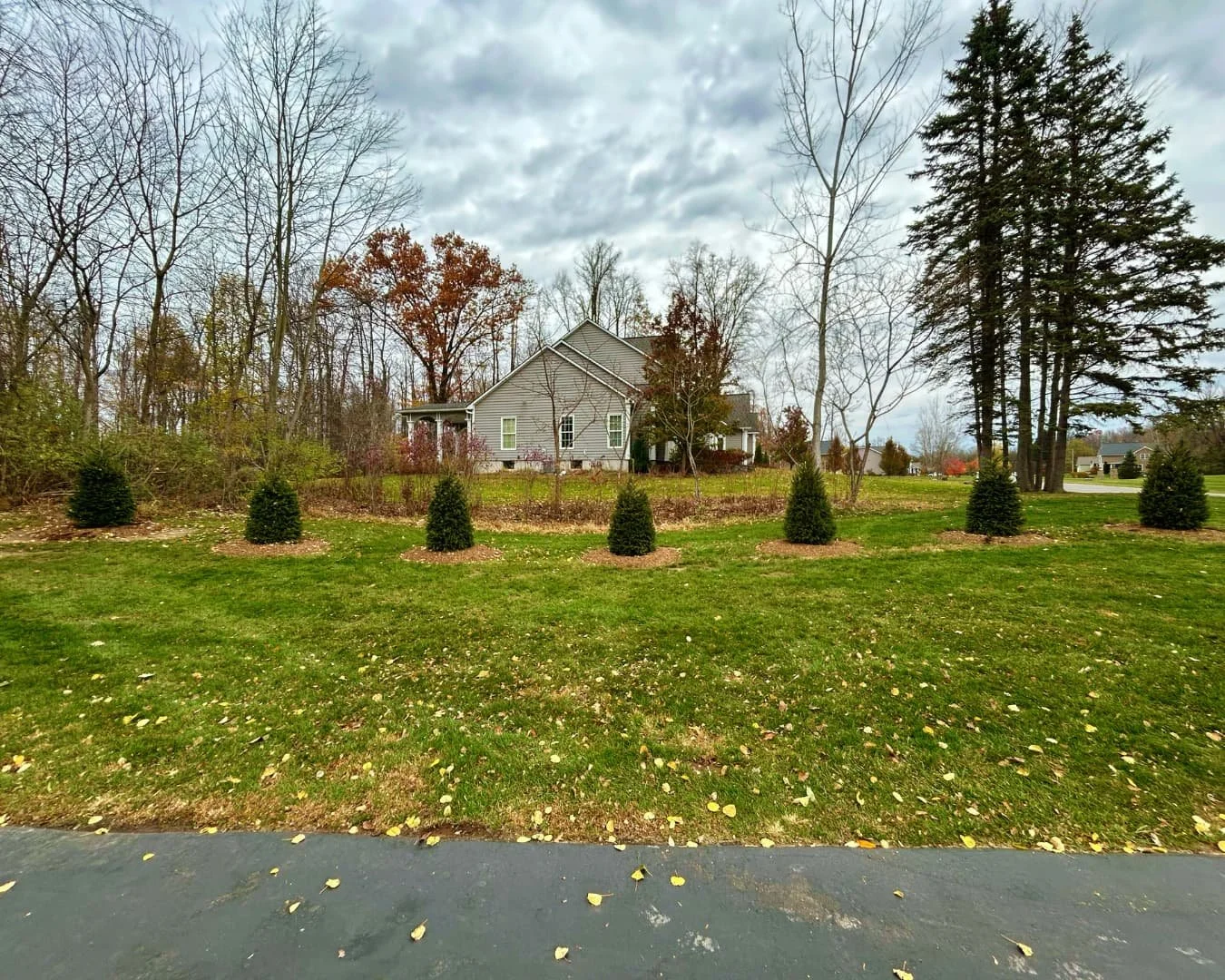 Landscape screening planting overview completed by Pines and Pavers in Brewerton, New York.