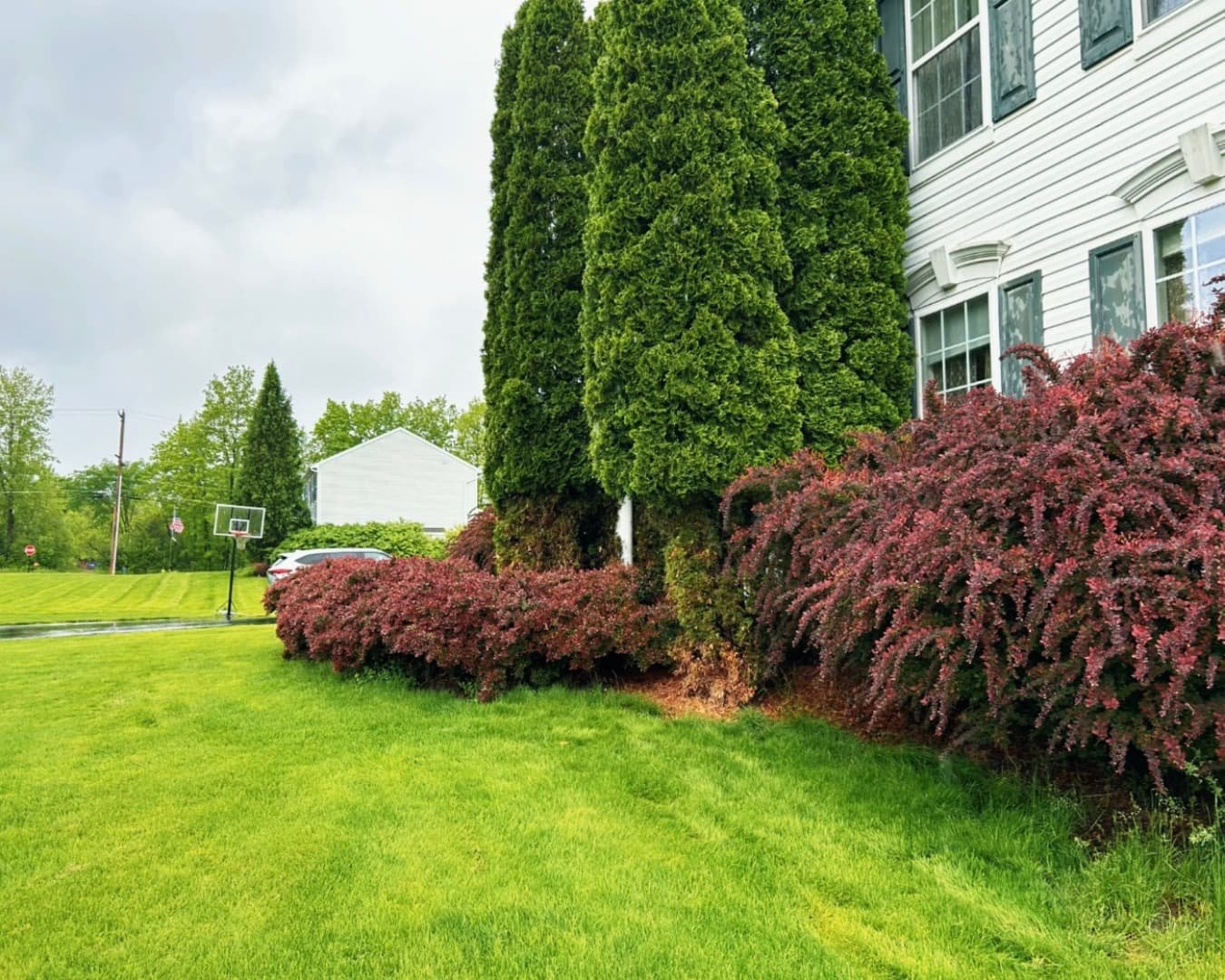 Garden path and entry walkway at an Upstate New York home with planted borders and a neat hardscape finish.