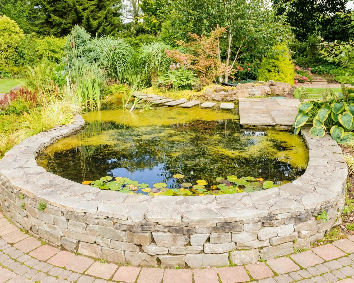 Water feature inspiration showing a small garden pond with natural stone edging and lush planting.