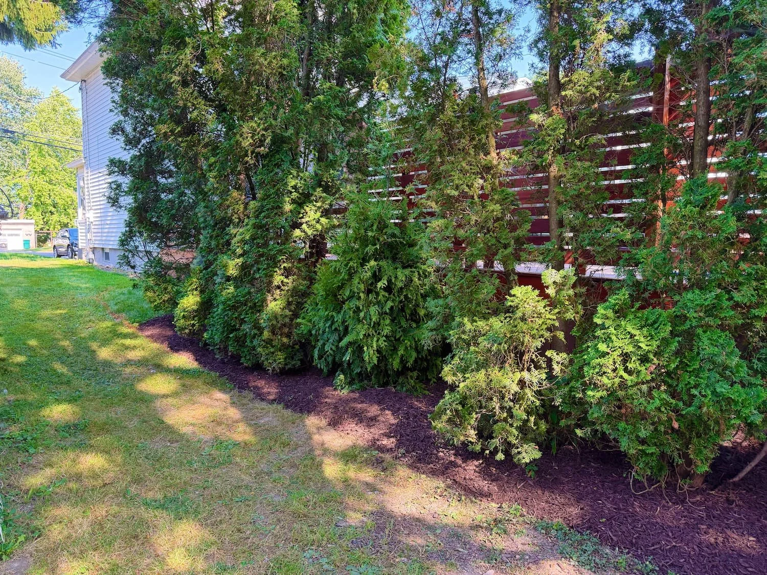 Finished backyard landscape renovation with new lawn and outdoor living area in Central New York.