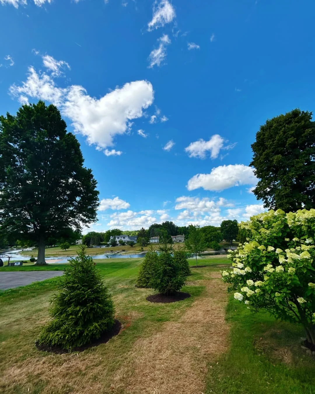 Front foundation planting bed by the driveway completed by Pines and Pavers in Skaneateles, New York.