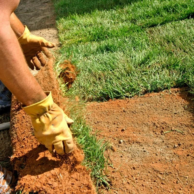 Landscape professional installing fresh sod and shaping clean lawn edges during residential yard renovation.
