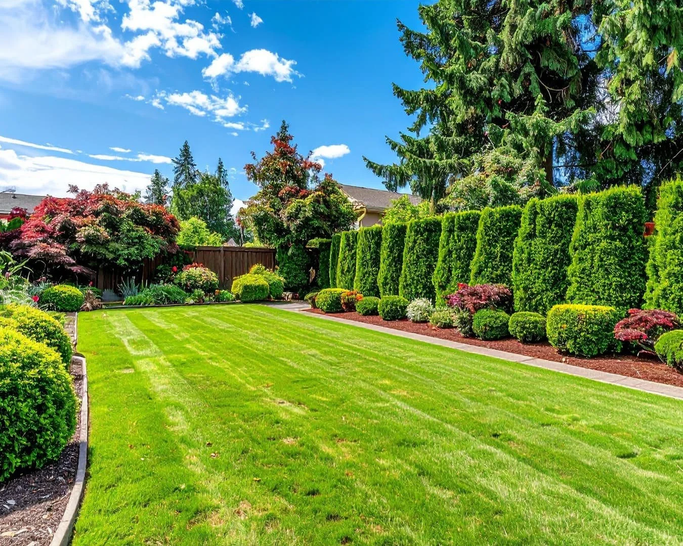 Yard separation inspiration showing structured hedge planting used to separate lawn and garden areas.