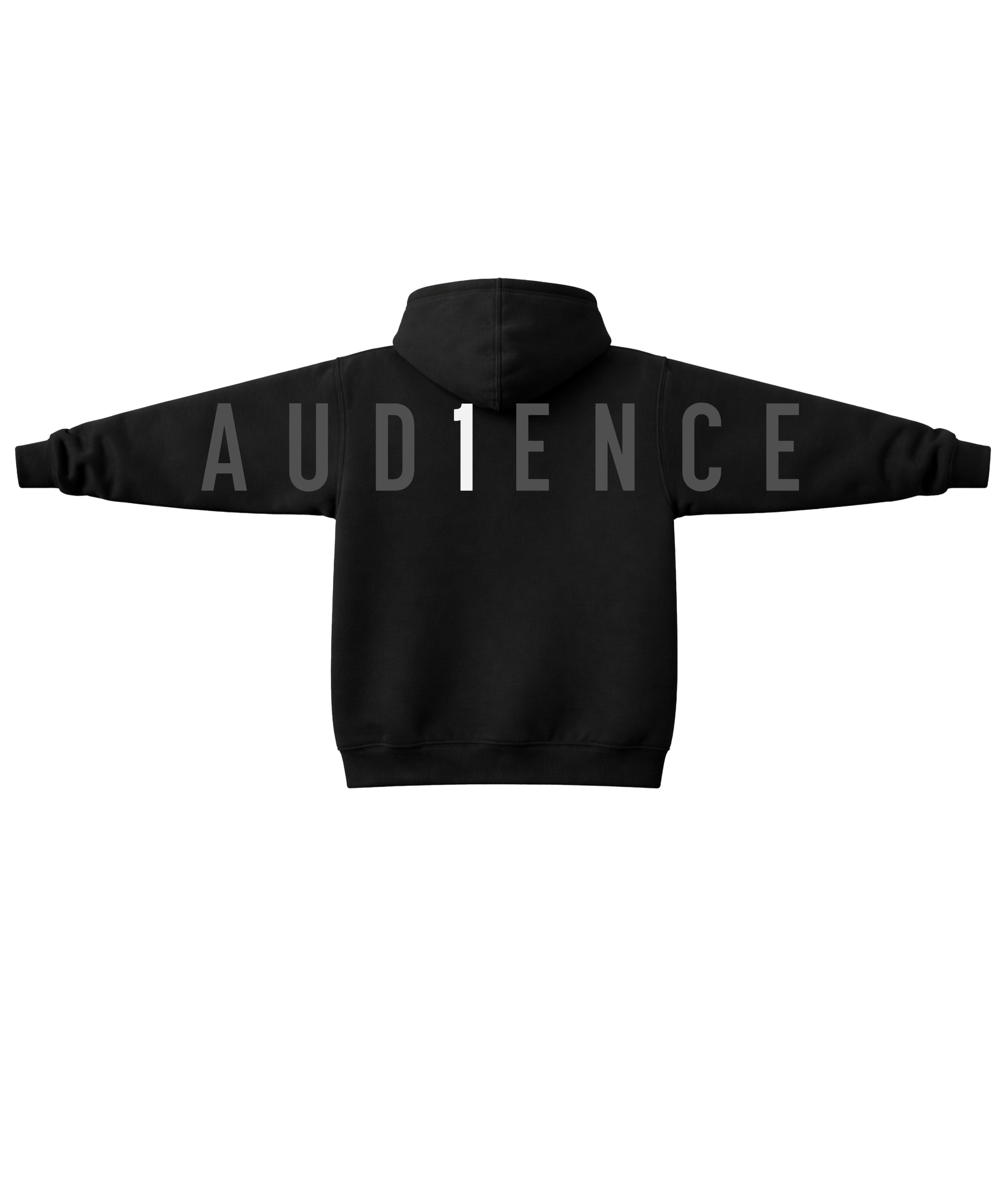 Audience of One Hoodie