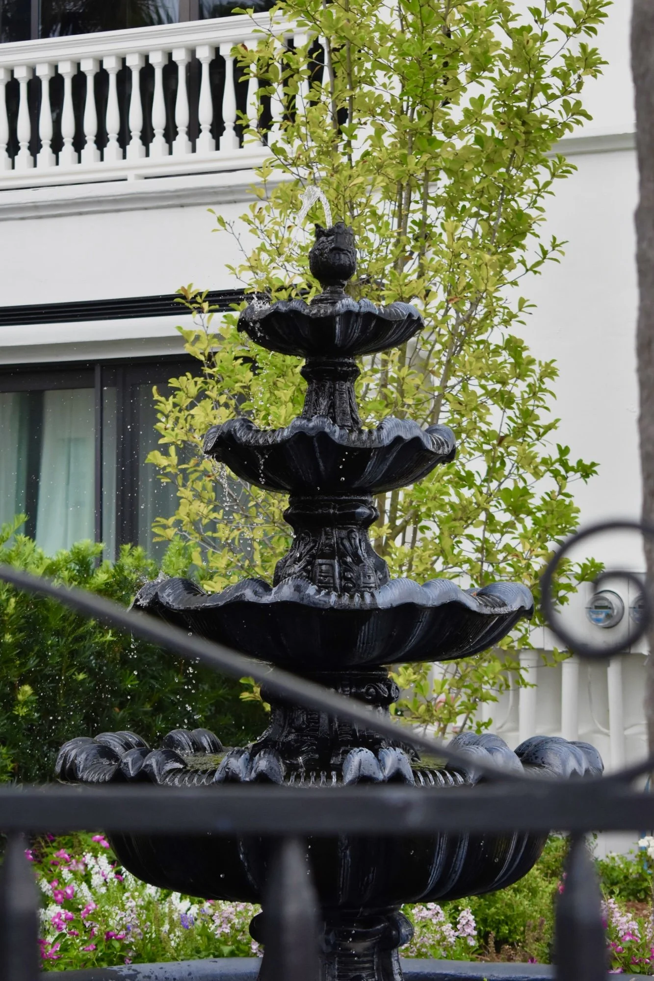 DSC_0669.jpg