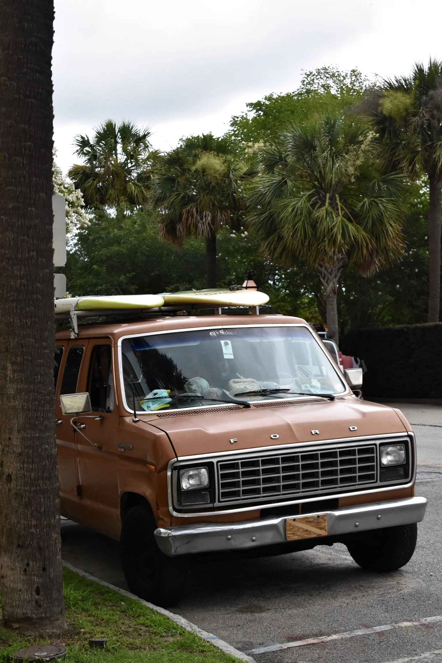 DSC_0677.jpg