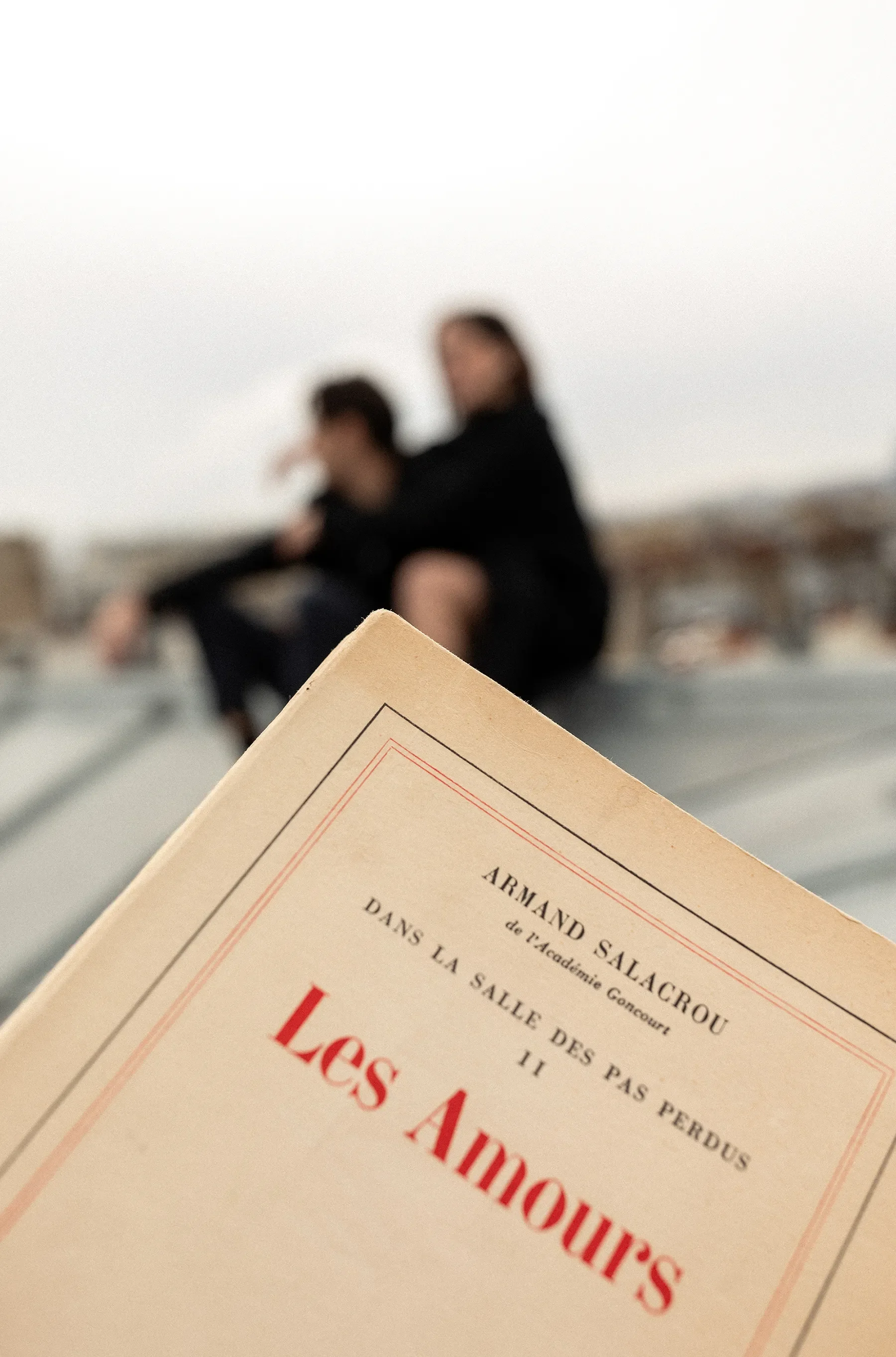 Les amours Toits de Paris .webp