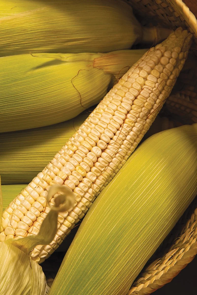 Elotes Maiz Web.jpg