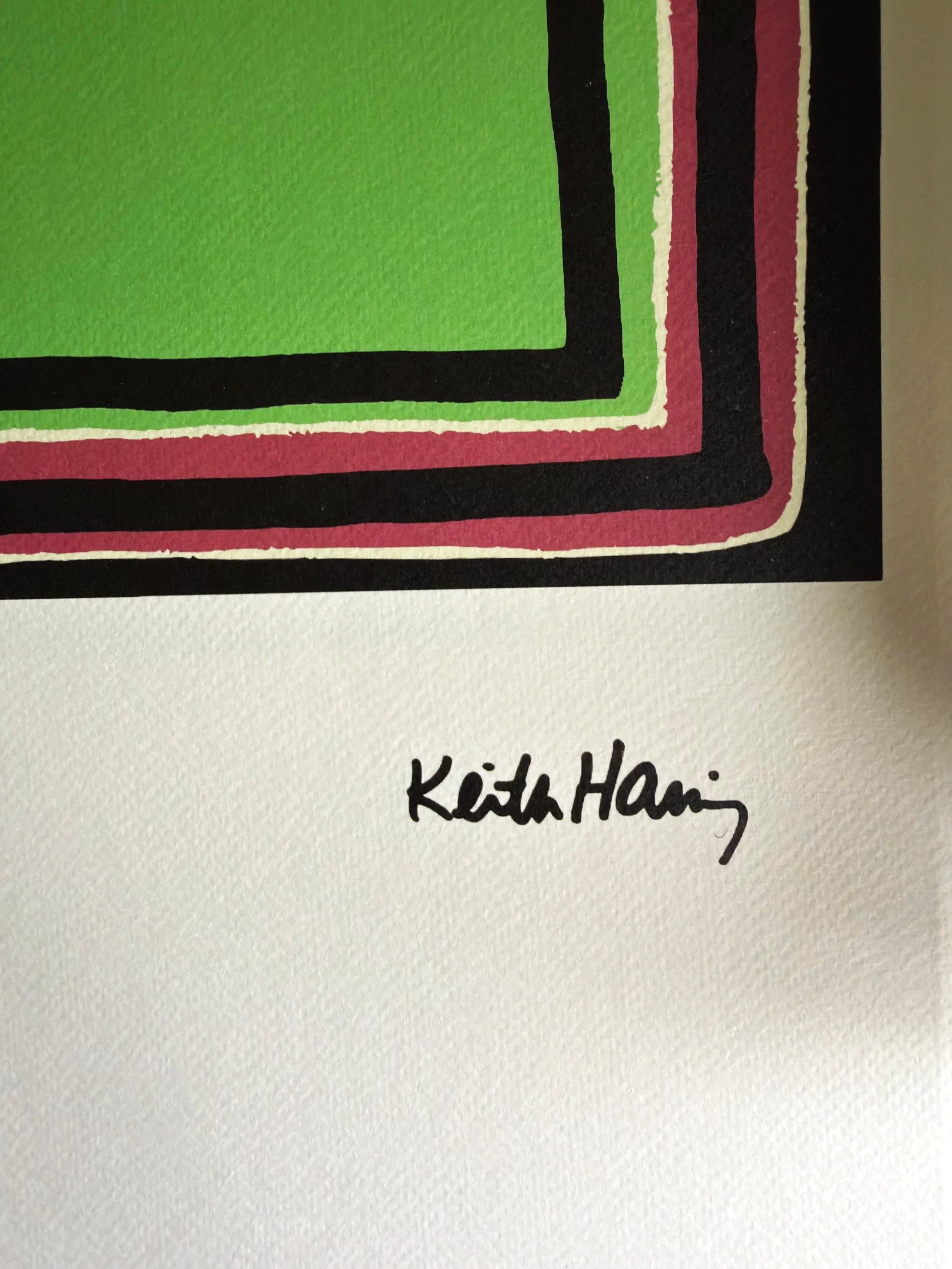 Spirit of Flying Devil (114/150) by Keith Haring | Keith Haring Foundation | Artquia