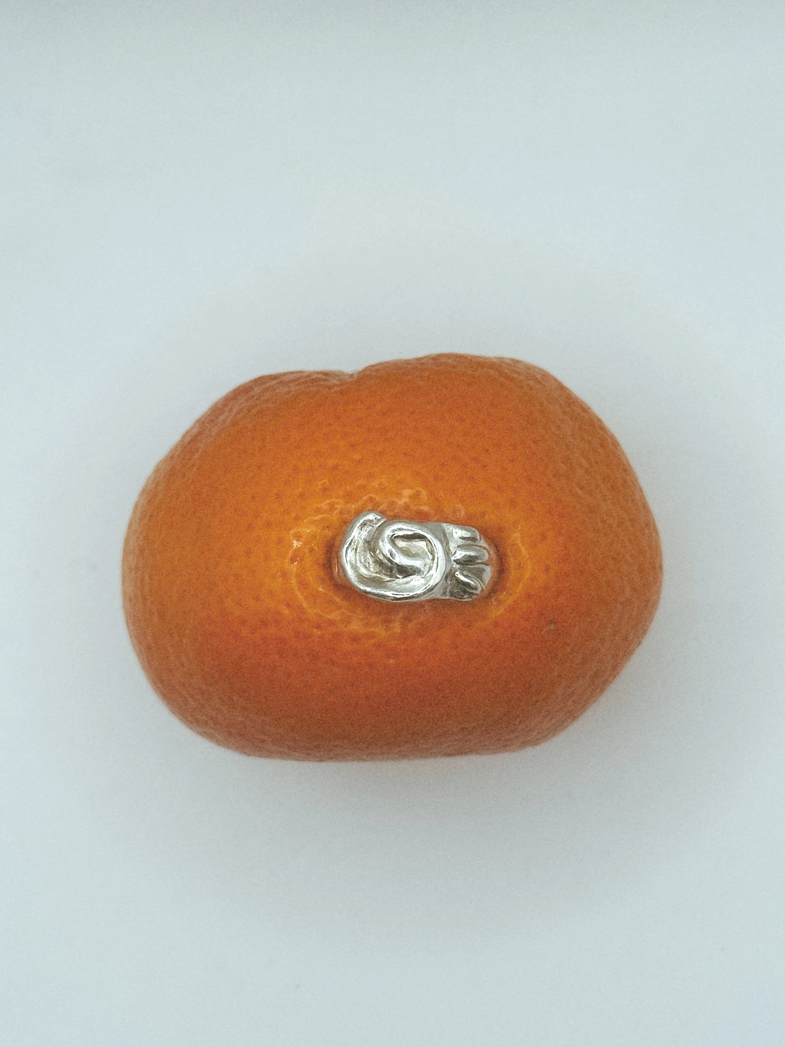 Tezza-7718.JPG