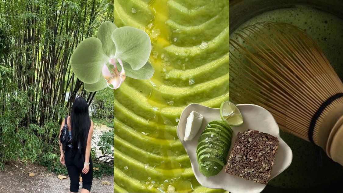 follicular phase mini guide