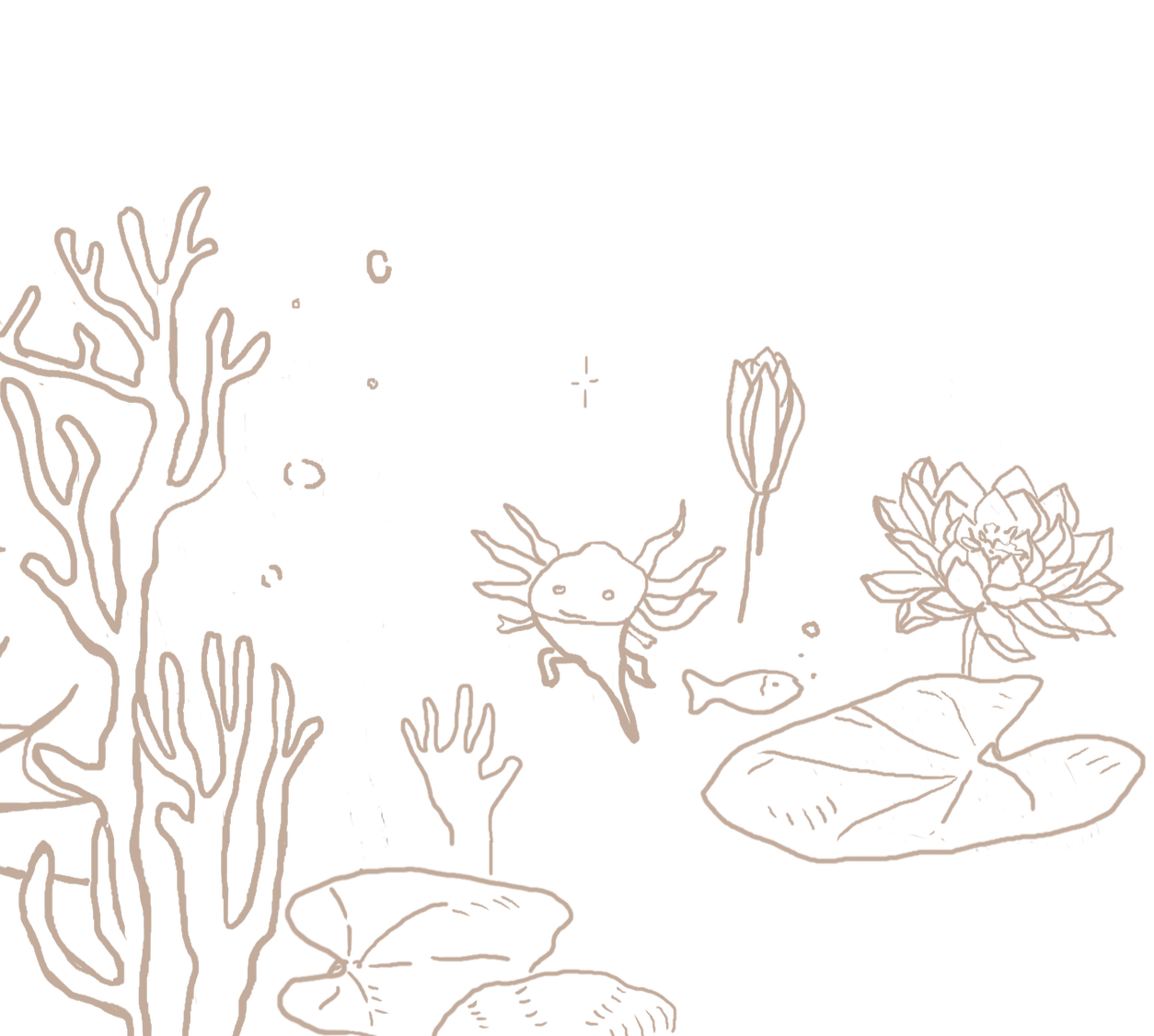 Line drawing of aquatic plants, axolotl a crab, fish, and lily pads.